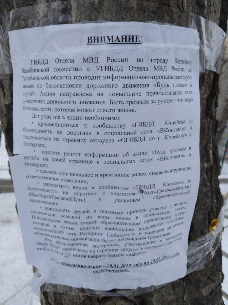 Такое объявление появилось на улице Калинина в Копейске. Фото: vk.com/«Чистомэн»