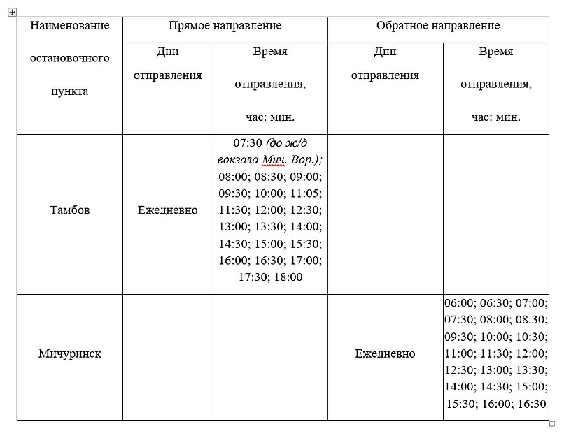 Расписание движения Фото: Пресс-служба администрации города Мичуринска