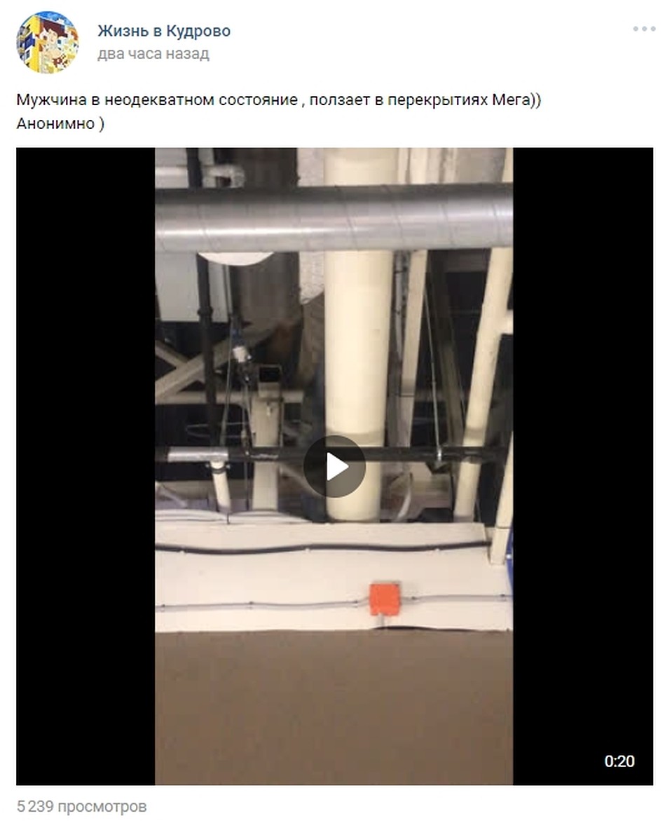 Видео происшествия попало в соцсети. Фото: vk.com/kudrovolife
