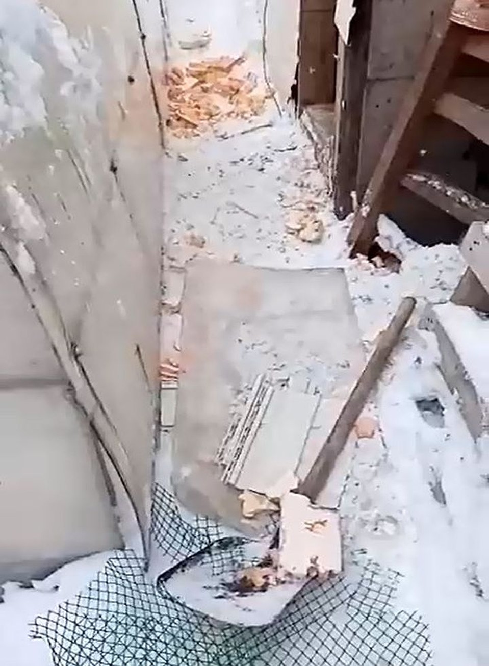 Собаки разгромили один из участков в Пашино.