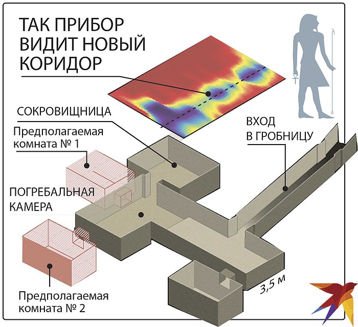 Гробница Тутанхамона: расположение предполагаемых потайных комнат (розовые) и тоннеля (синий).