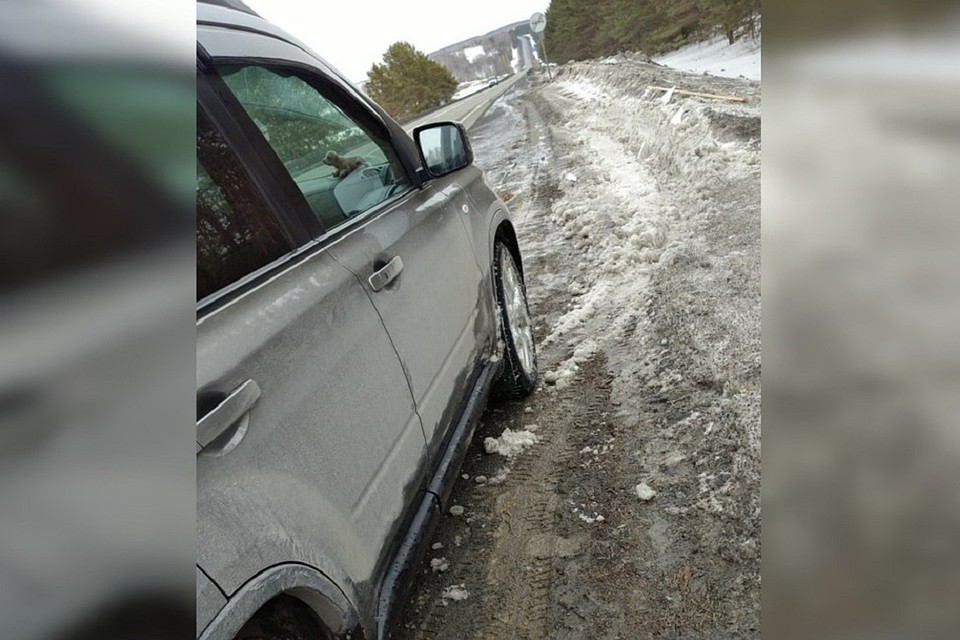 Водитель авто сам выехать из западни не смог. Фото: Новосибирская служба эвакуации «АСТ-54»