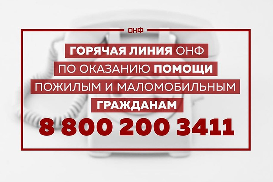 Штаб для помощи пожилым людям в условиях распространения коронавируса заработал в Нижнем Новгороде. ФОТО: ОНФ в Нижегородской области