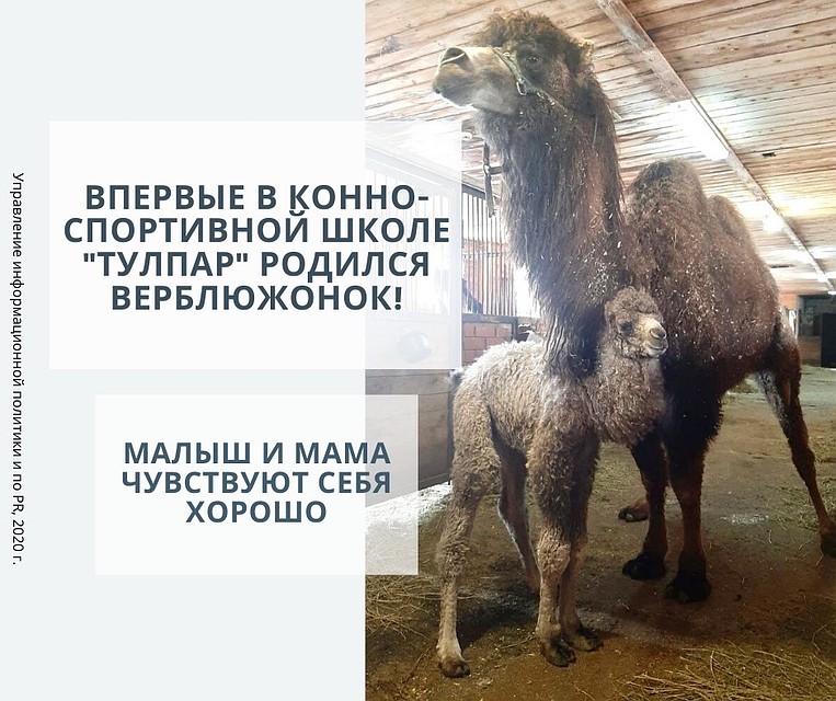 Фото: управление информационной политики и PR Набережных Челнов