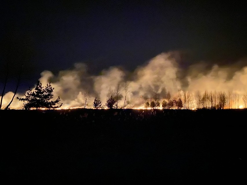 Травяной пожар в Кимрах Фото: vk.com/"Подслушано Кимры"/Василий Бойко