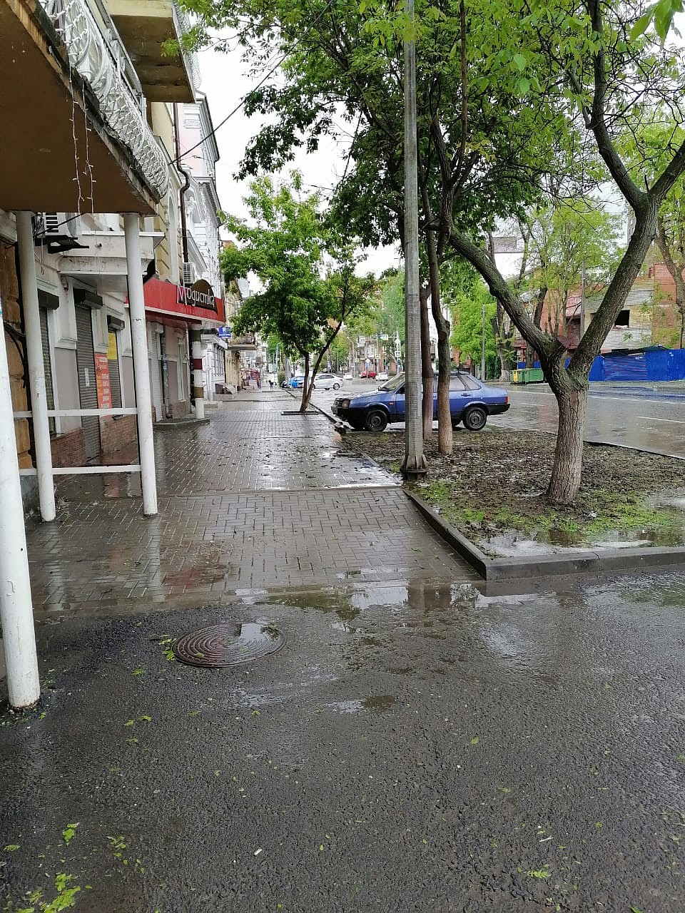 В Ростове дождь сменяется ветром Фото: Юрий ПОЗДНЯК