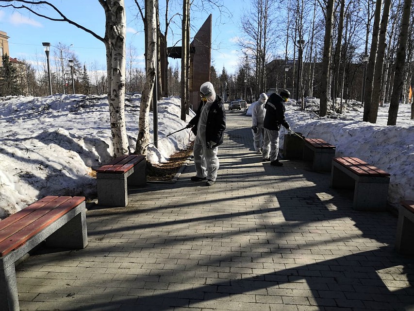 В Апатитах обработали не только остановки, но и центральный сквер. Фото: администрация Апатитов