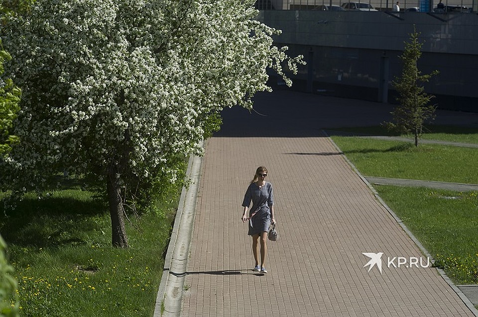 Для посещения открыты все парки и скверы Фото: Алексей БУЛАТОВ