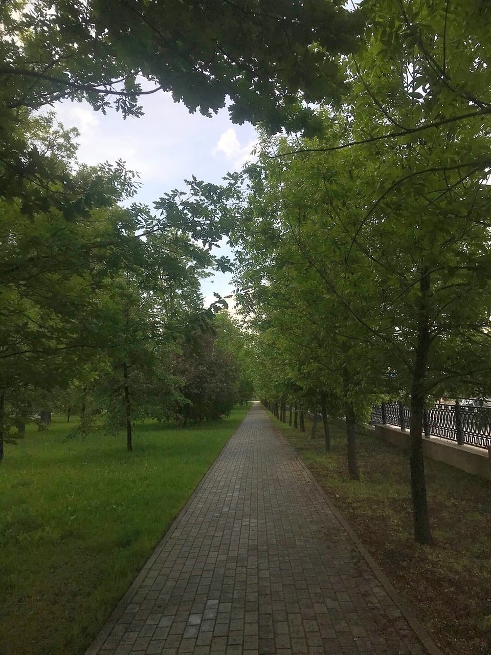 Деревья могут стать продолжением этой аллеи Фото: Валентина ВАГАНОВА