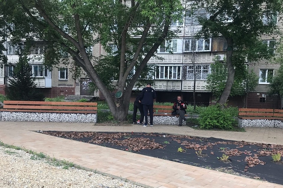 Им тоже тут удобно. Рядом скамьи пустуют. Слушать пьяные маты никому не хочется. Фото: Инна КУМЕЙКО