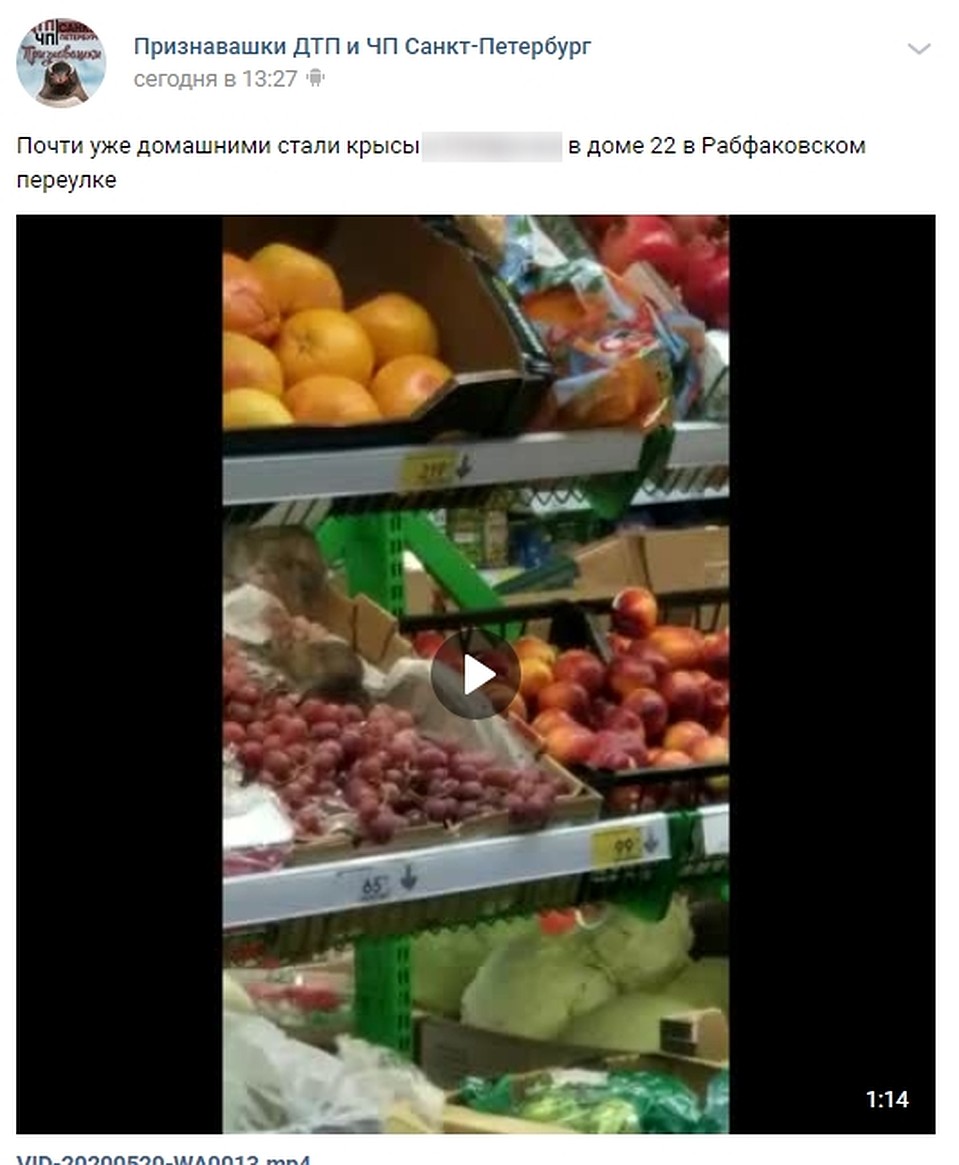 Обо всем стало известно из соцсетей. Фото: vk.com/unreleased_dtp