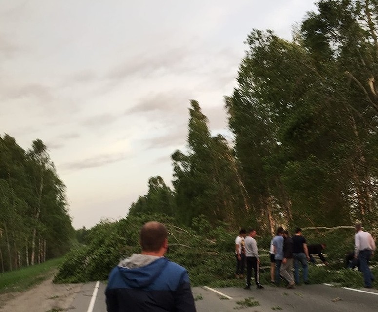 Трасса Тюмень - Нижняя Тавда. Фото - "ЧС Тюмень".