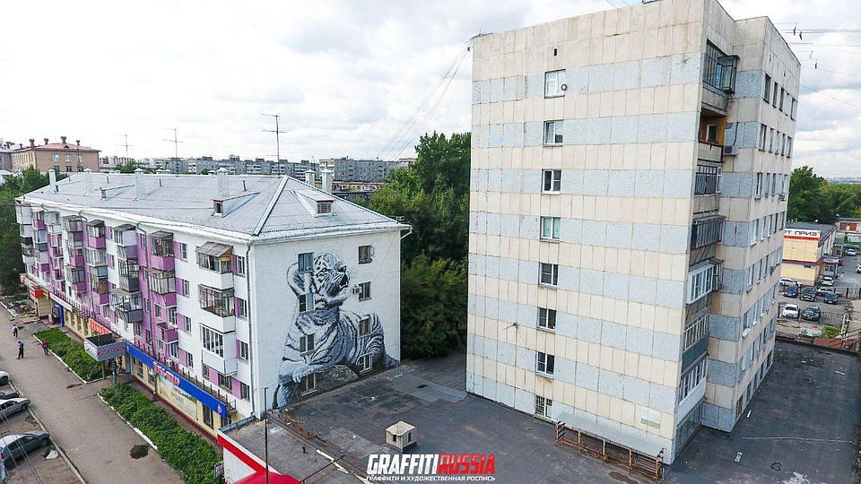 Пока тигренок одинок. Фото: пресс-служба мэрии Челябинска.