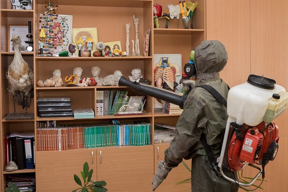 В МЧС также напоминают, что они ежедневно участвуют в дезинфекции скверов и парков. Фото: ГУ МЧС по НСО