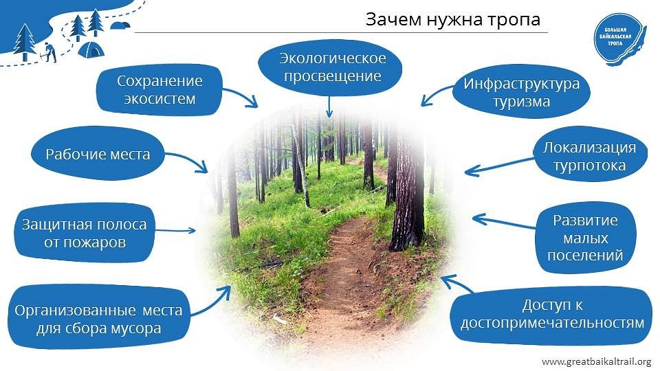 Графика: предоставлено Ассоциацией ББТ.