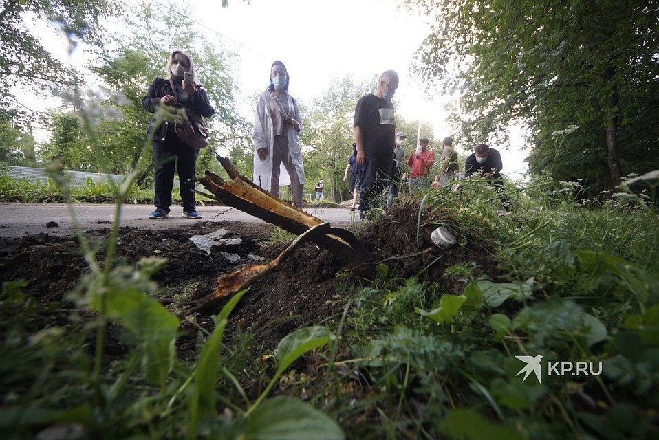 На аллее, где строители успели вынуть бордюрный камень, горожане обнаружили поврежденный корень дерева. Фото: Алексей БУЛАТОВ