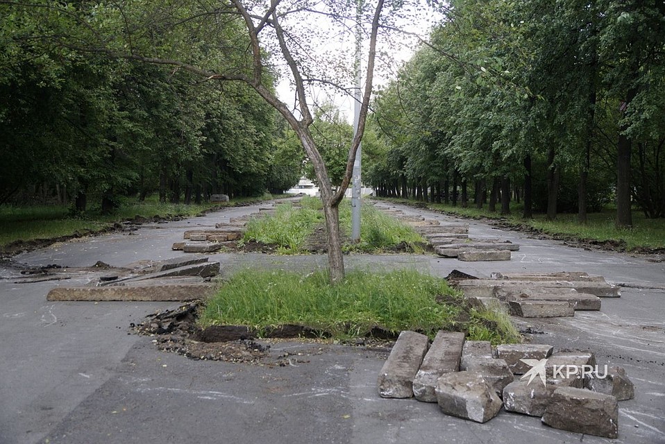 Так сейчас выглядит главная аллея парка за дворцом молодежи. Фото: Алексей БУЛАТОВ