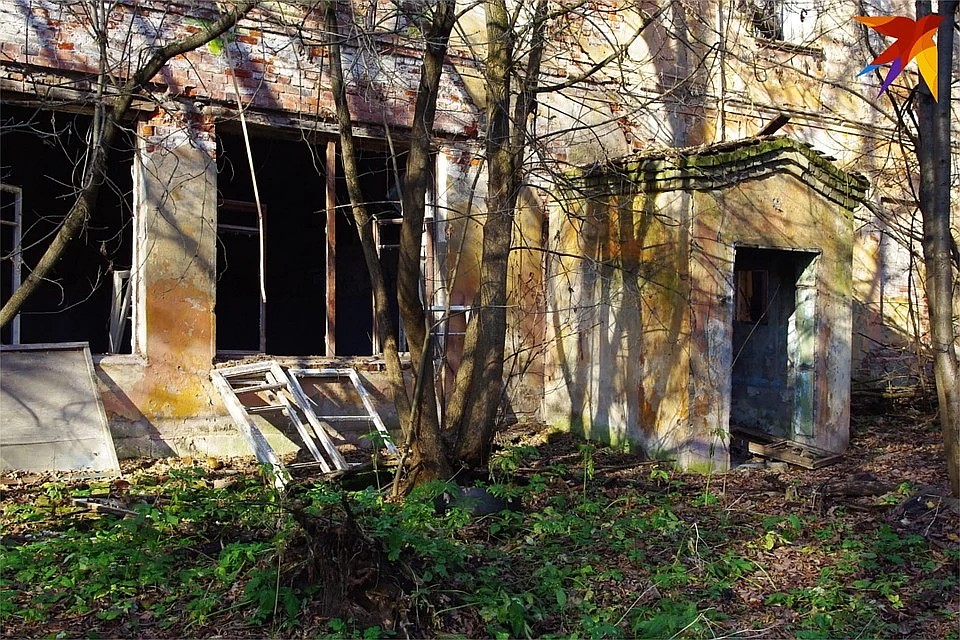 Парк Воксал в последние годы был забыт и стремительно погибал. Фото: Виктория ТУШКОВА