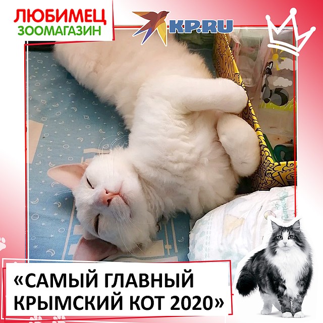 Мышка - победительница!