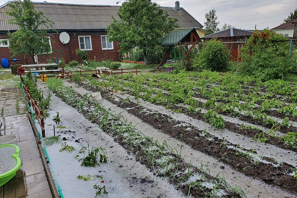 Для огородников град стал бедой. Фото: vk.com/Дмитрий Балякин