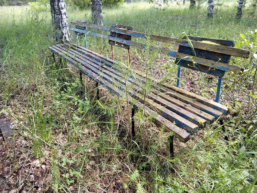 Скамейки уже заросли Фото: Анастасия МАШКАЛЕВА