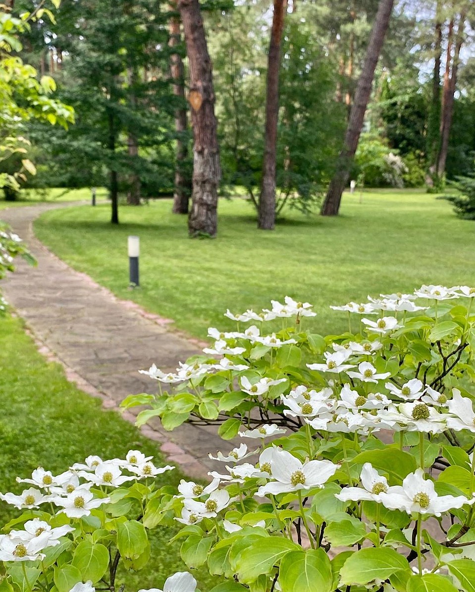 Участок возле дома Фото: Instagram.com
