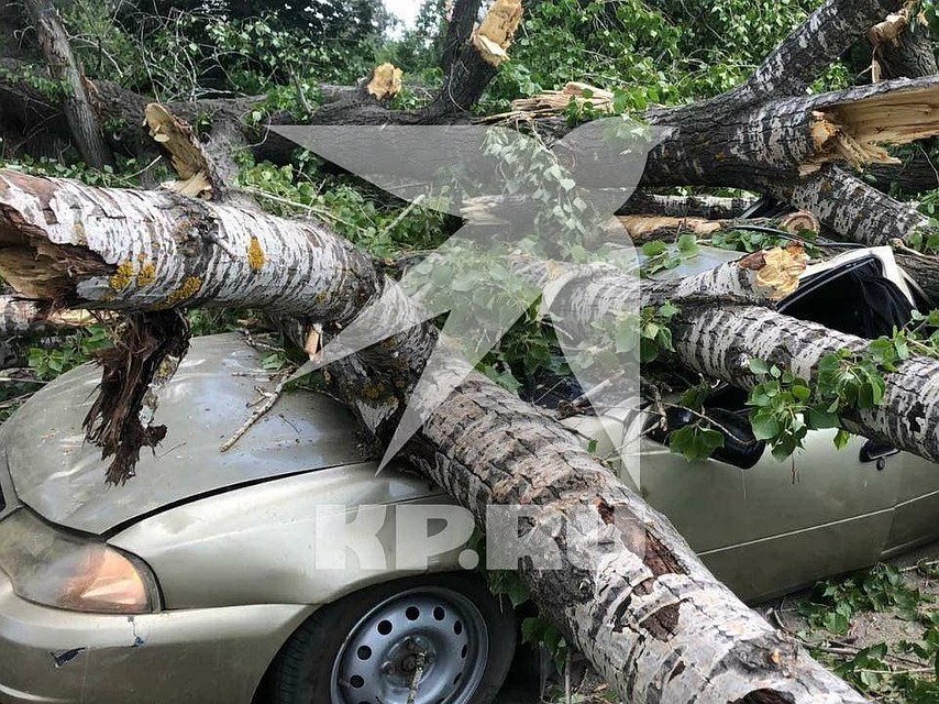 Водитель Daewoo Nexia чудом уцелел