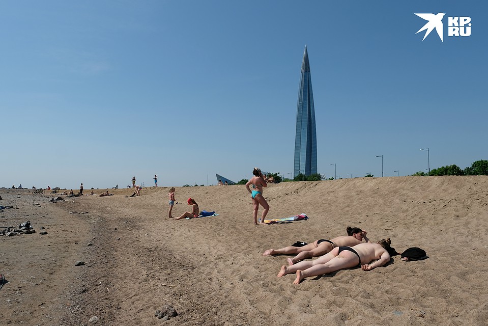 Чтобы очистить Финский залив, нужно заняться чистотой Ладоги Фото: Артем КИЛЬКИН