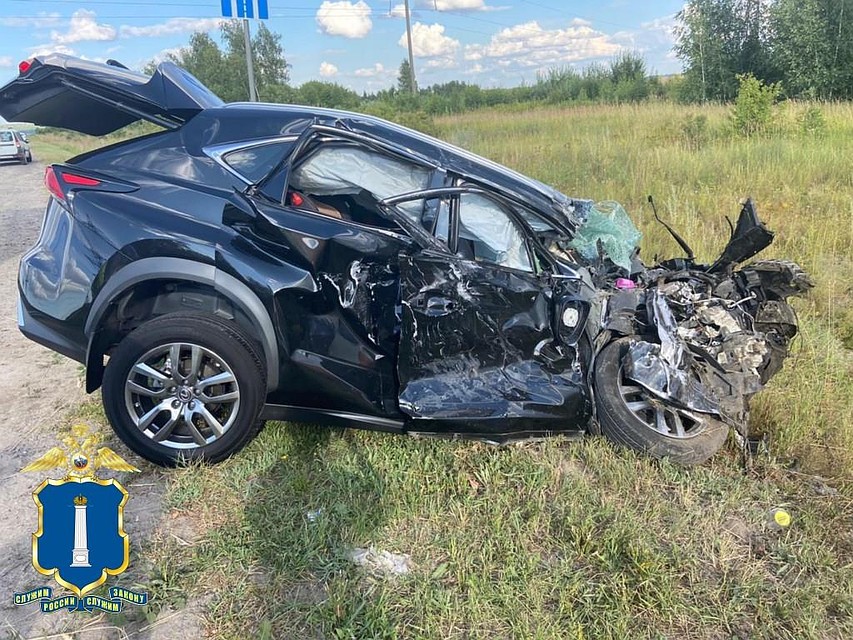 Фото: пресс-служба УГИБДД Ульяновской области