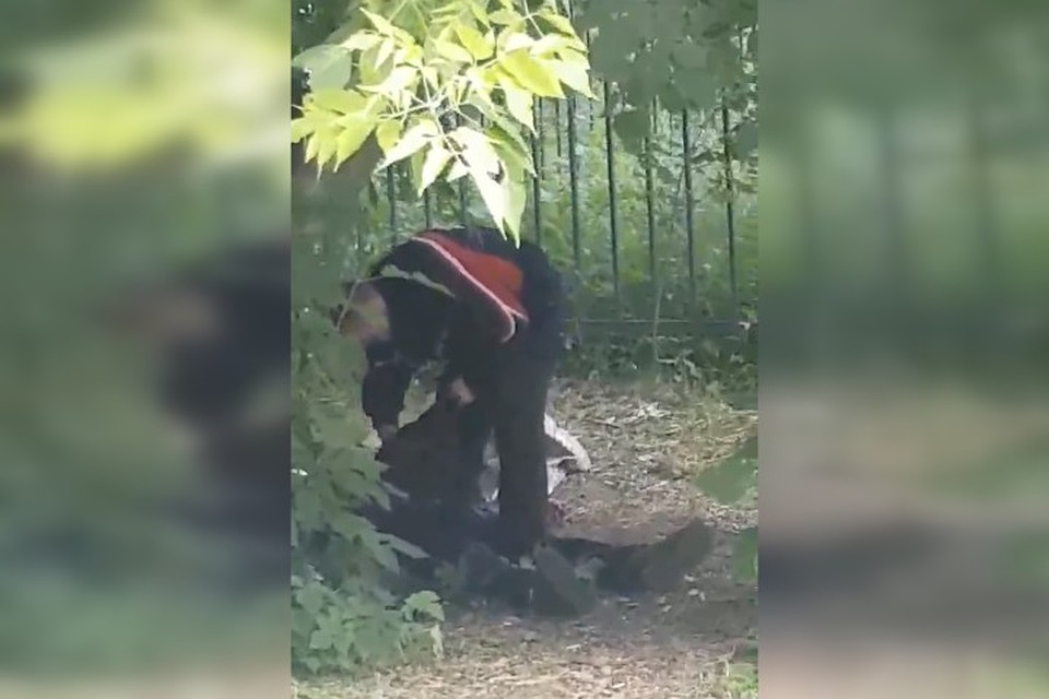 После убийства подозреваемый ходил возле тела и пытался оказывать ему помощь. Фото: скрин с видео предоставлен СО по Свердловскому району Перми СУ СКР по Пермскому краю