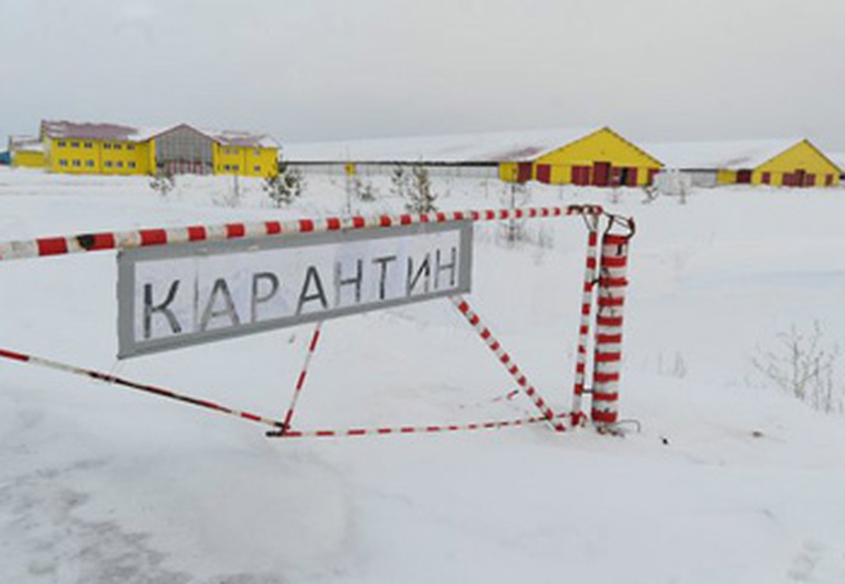 Есть мнение, что часть акций предприятия, где руководила Сидорова, держал известный вор в законе.