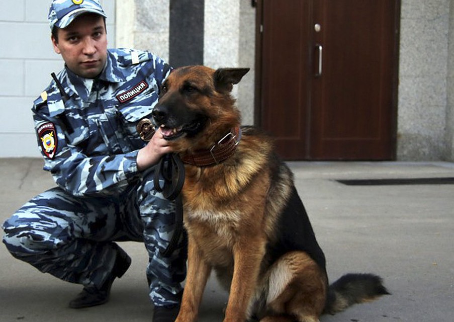 Олег сидел в беседке, когда его заметили кинологи с собакой: Михаил Богачев , Сергей Боголюбов и пес по кличке Ерт Фото: Сергей ШАХИДЖАНЯН