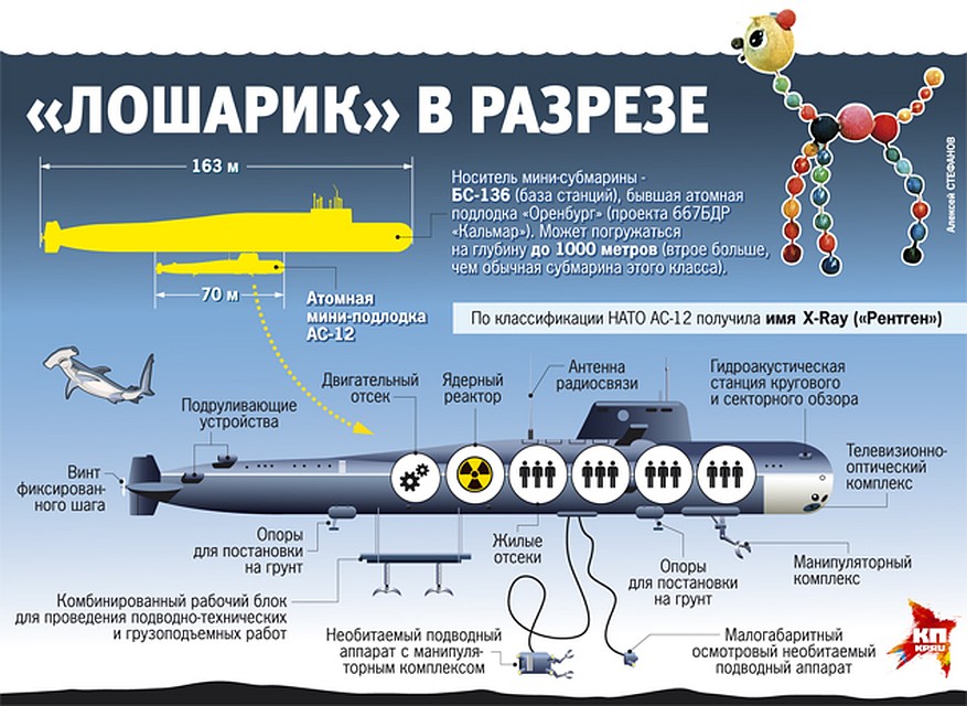 Кликните для увеличения. Фото: Алексей СТЕФАНОВ