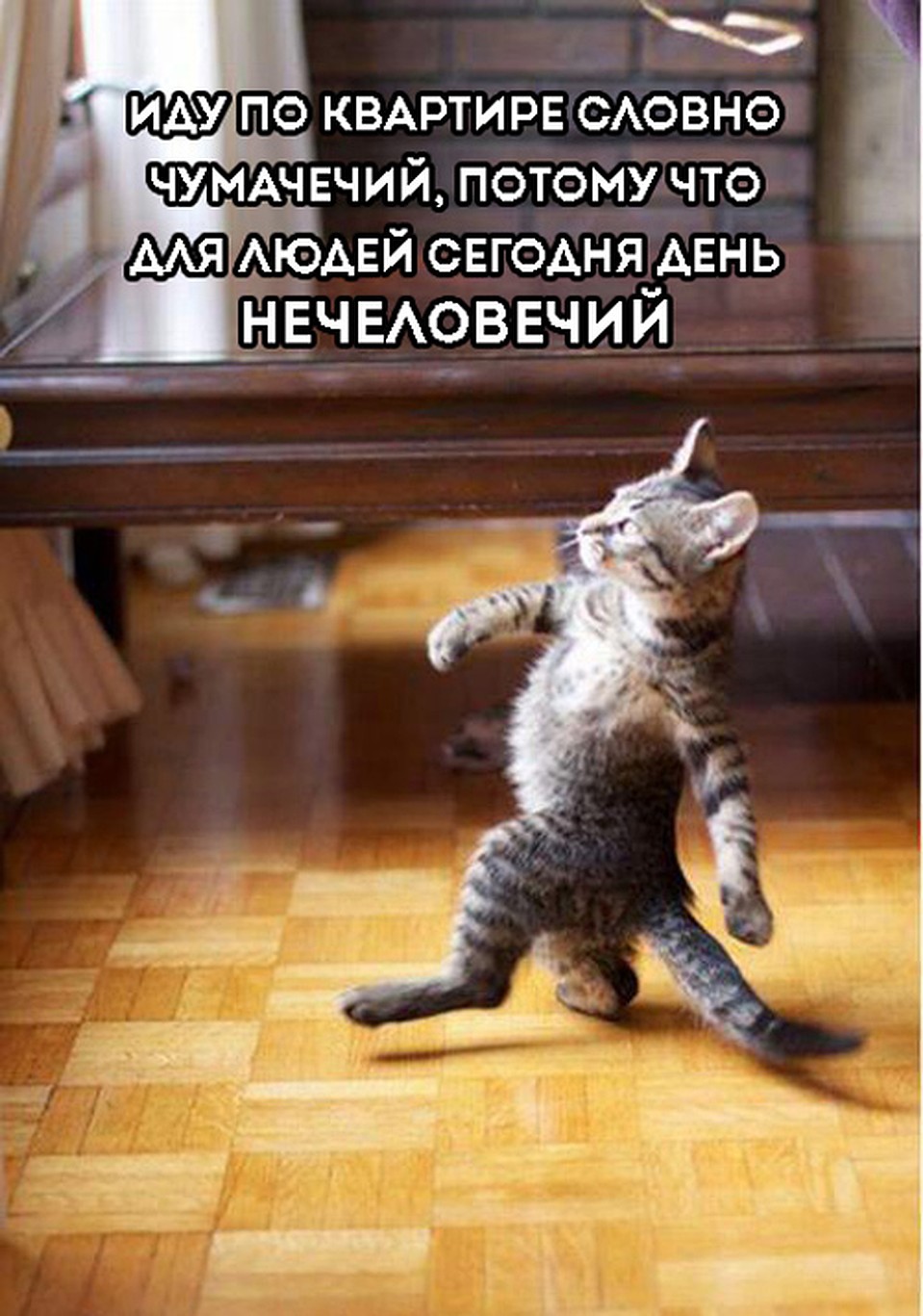 Фото: СОЦСЕТИ