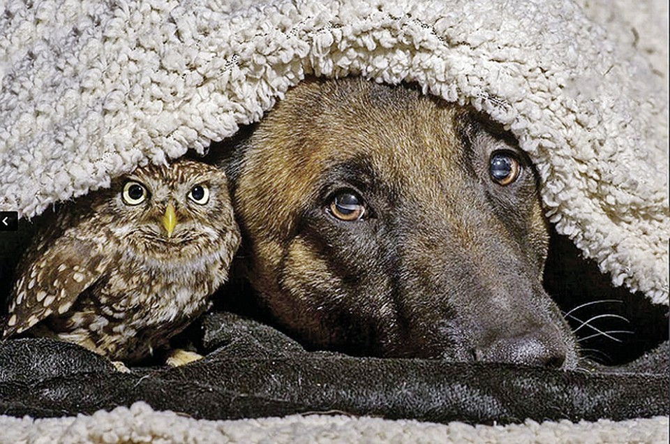 Фото: facebook.com/tanja.brandt