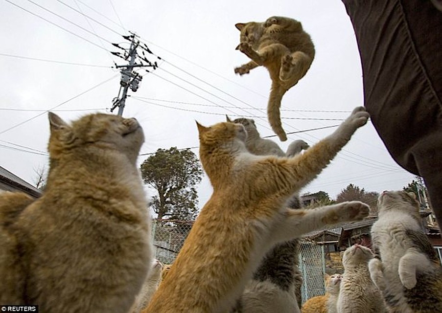 Фото: REUTERS