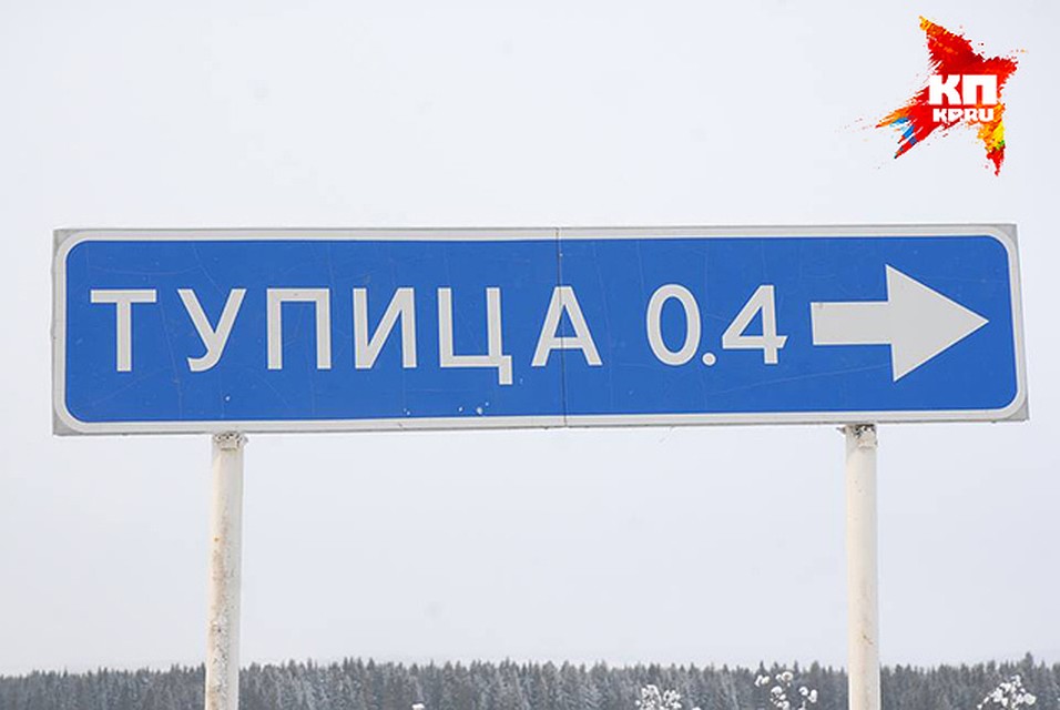 Фото: Алексей ЖУРАВЛЕВ