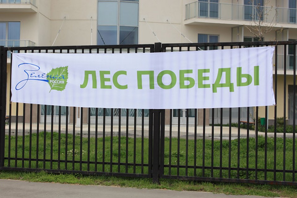 Организаторы планируют посадить 27 миллионов деревьев по всей России. Фото: Виктория СМОЛИНА