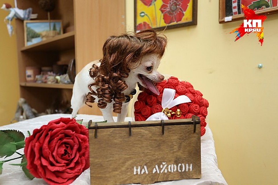 Фото: Роман ЗЛОБИН