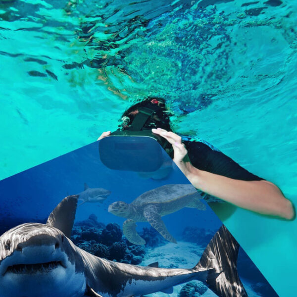 Фестиваль водных видов спорта «Большой Океан»