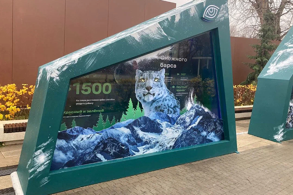 В Московском зоопарке 9 ноября 2022 открылась выставка «Ирбис – кошка-невидимка»