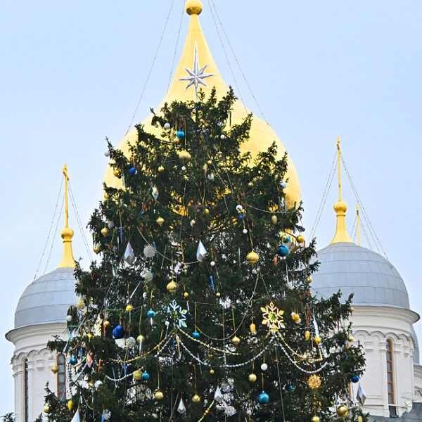Главная елка страны 2025-2026