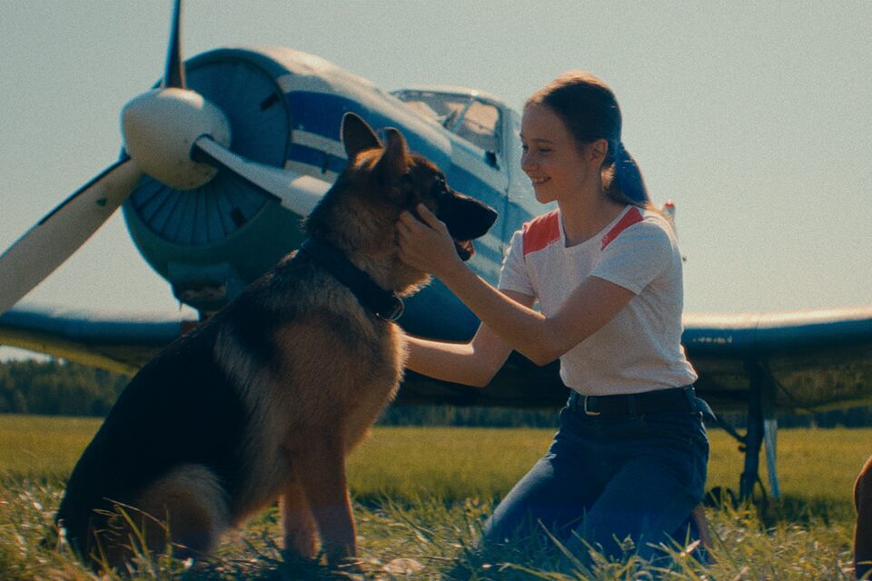 Фильм «Пальма 2» (2025): кино о дружбе собаки и медвежонка Мансура