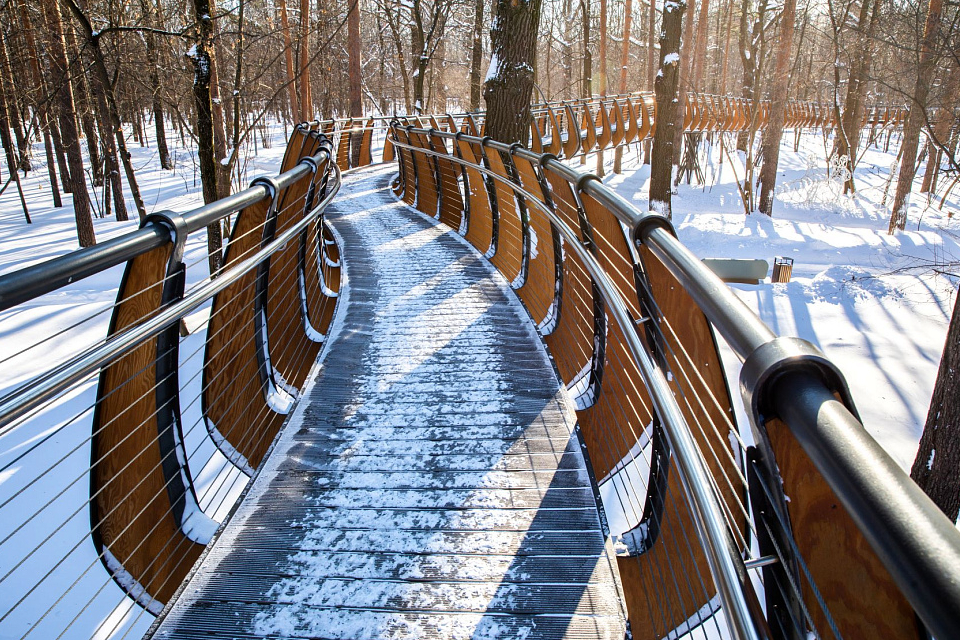 На ВДНХ в Москве появился прогулочный «Снежный маршрут»