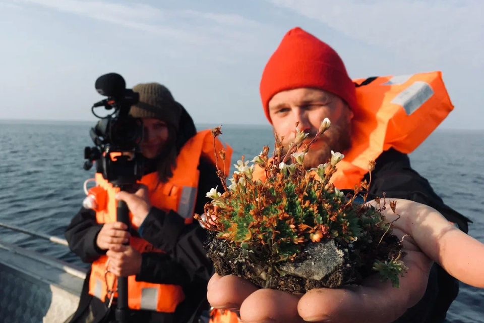 Документальный фильм «В Арктику» (2024): где земля переходит прямо во вселенную