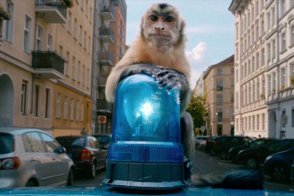 Фильм «Побег из зоопарка» (2025): семейное приключение с ноткой фантазии