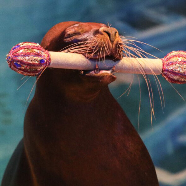 Спектакль «Дорога — длиною в век»