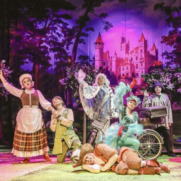 Мюзикл «Кот в сапогах»