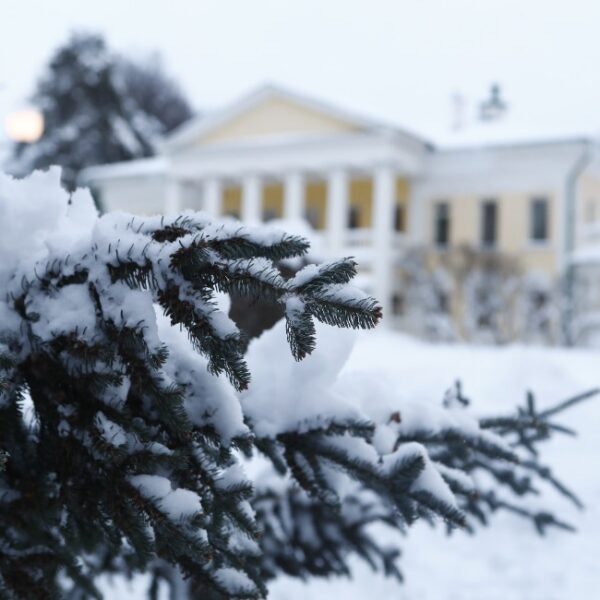 День памяти Владимира Ленина в музее-заповеднике «Горки Ленинские»
