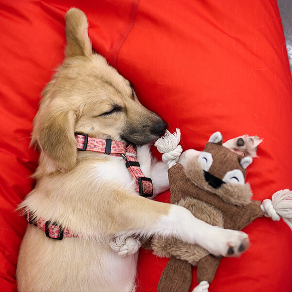 Фестиваль «Юна-Фест»